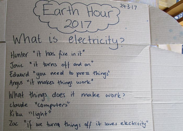 Guardian Earth Hour 2017