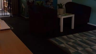 Guardian Earth Hour 2017