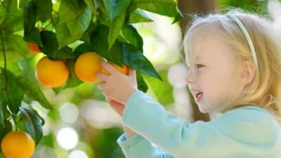 Things to do in Sydney this winter