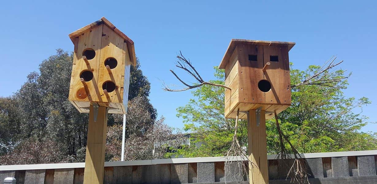 Guardian Bruce birdhouses