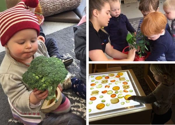 Children learning about fruit and vegetables at Guardian Bruce