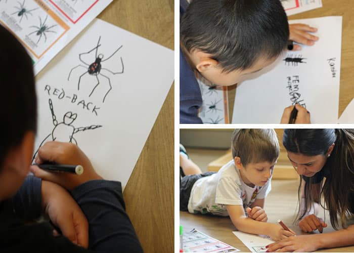 Spider project Sweet Peas Early Learning Centre