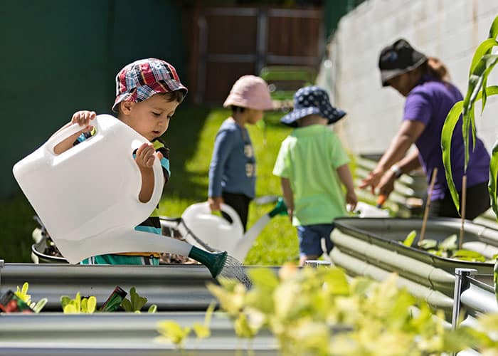 child watering in new yard at Lizards early learning centre in Aspley