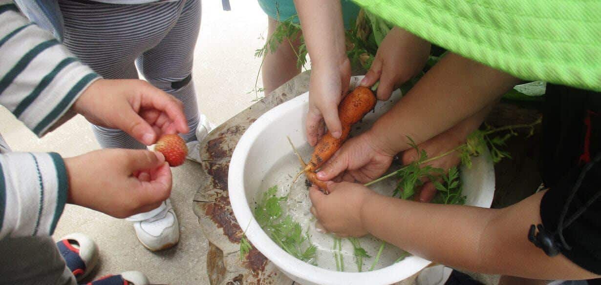 Children washing strawberry and carrot at Guardian Blackburn