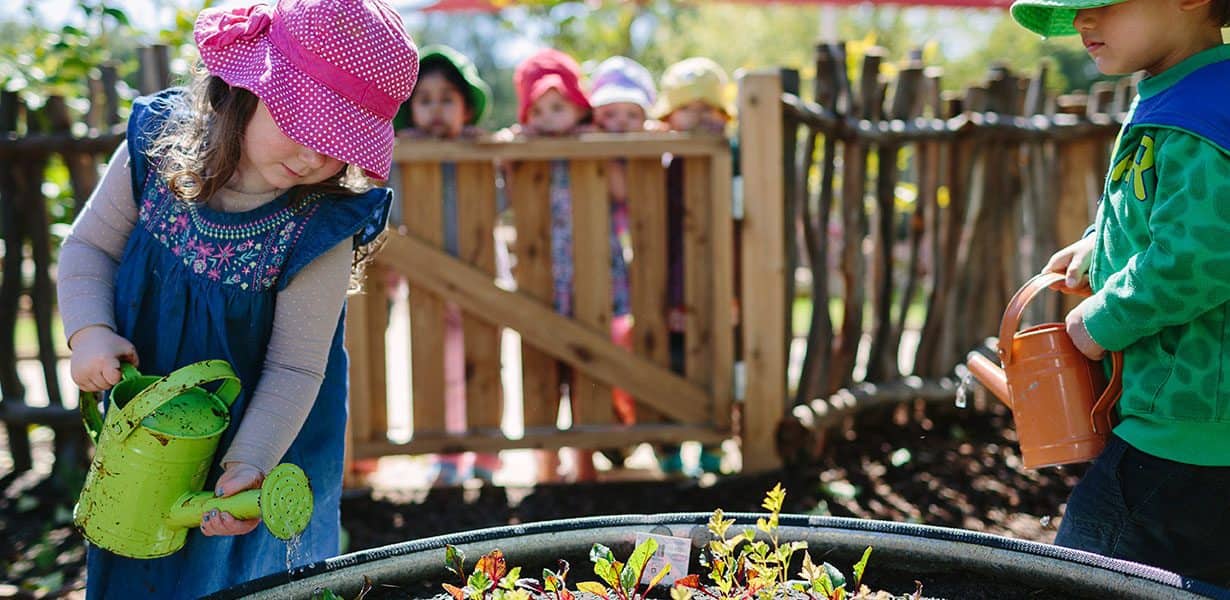 Paradise community garden