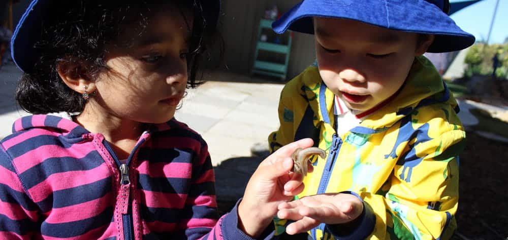 Two children from Guardian Haberfield interacting with worms