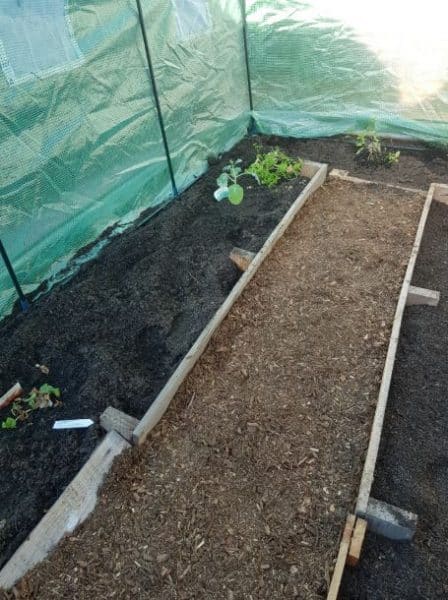 sustainability garden in greenhouse