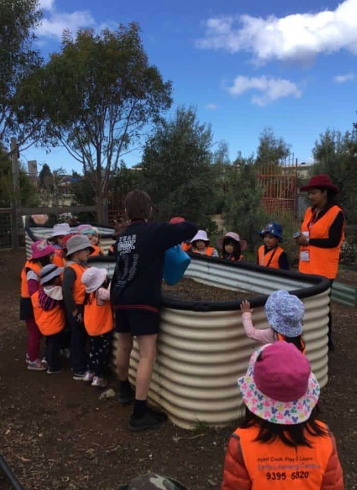 young children visiting a primary school on an excursion, gardening