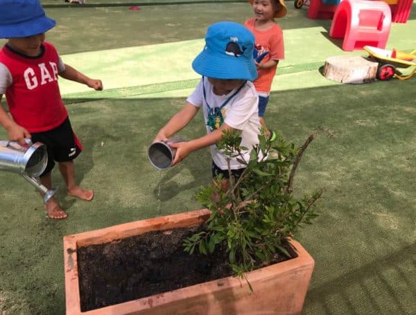 Child watering a plant sustainability