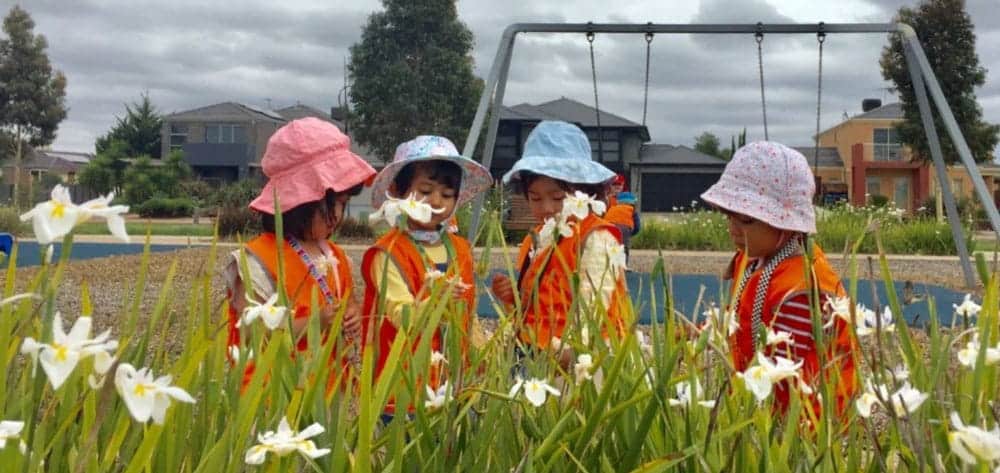 children wearing hats and safety vests standing in a playground with daffodils on an excursion