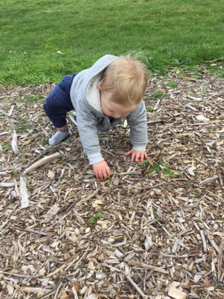 toddler exploring bark on exursion with Octo-Pram