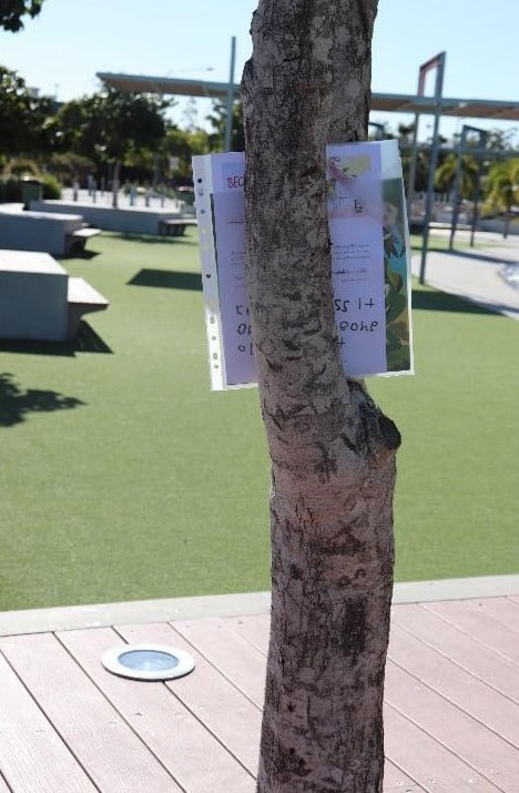 book hidden in tree as part of book hide and seek