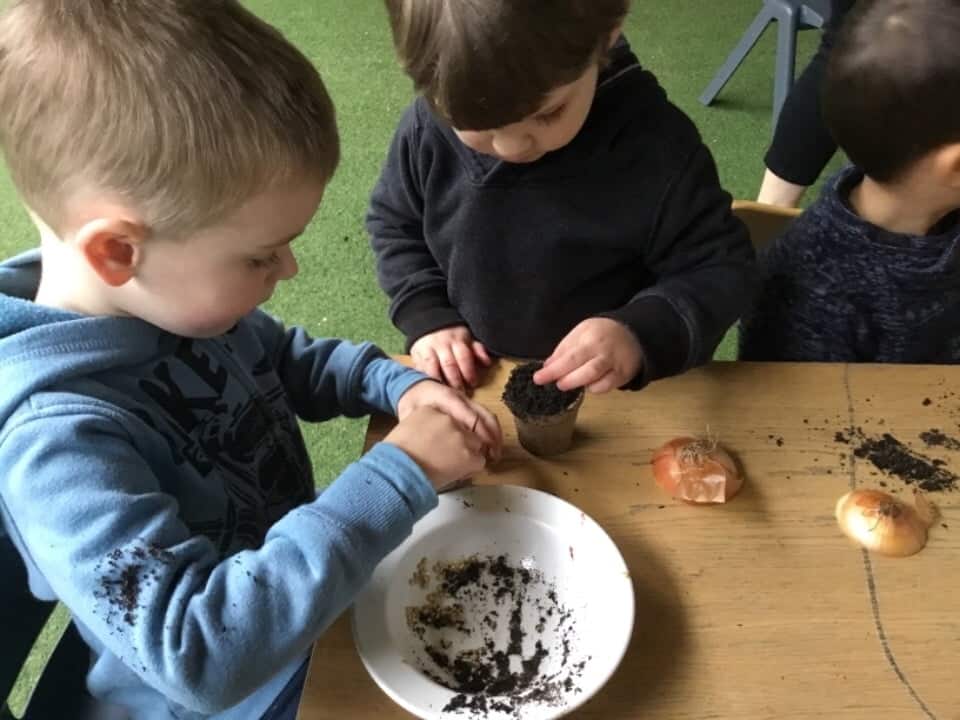 children planting onions as part of sustainability program