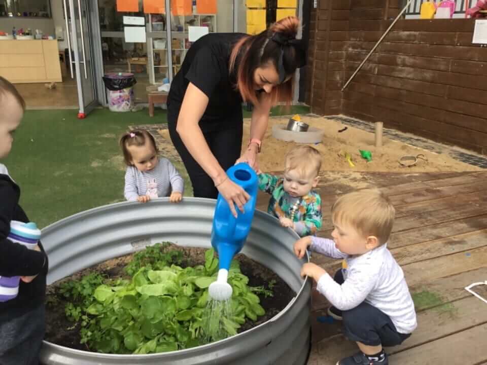 children and Educator watering plants as part of sustainability practice