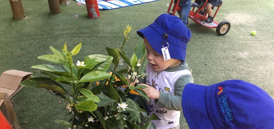 child looking at garden @ Guardian Caringbah