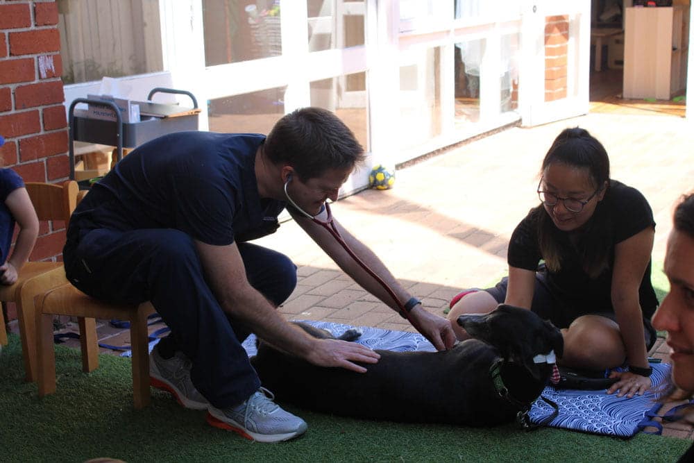 vet doing excursion for Guardian Lane Cove community