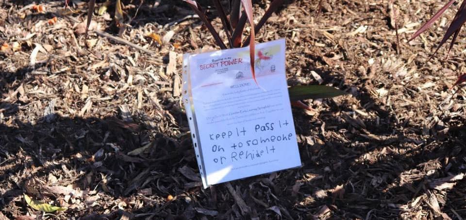 book hidden in park for book hide and seek at Guardian Springfield