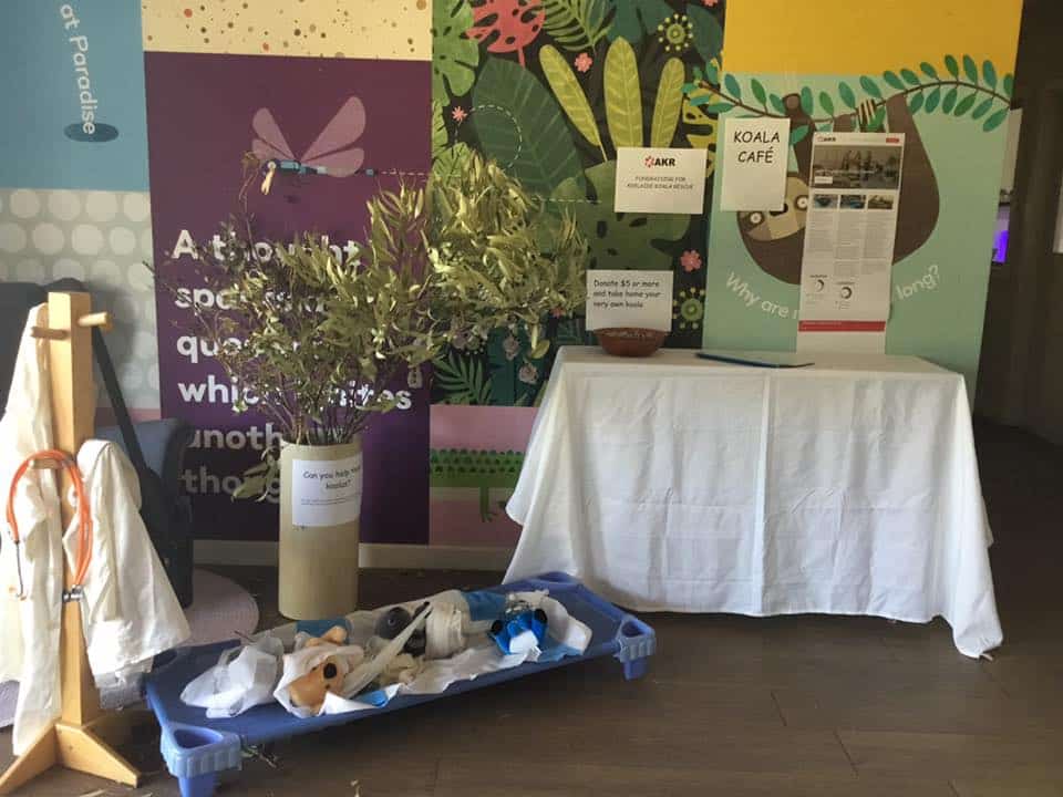Koala Cafe set up at Guardian Paradise