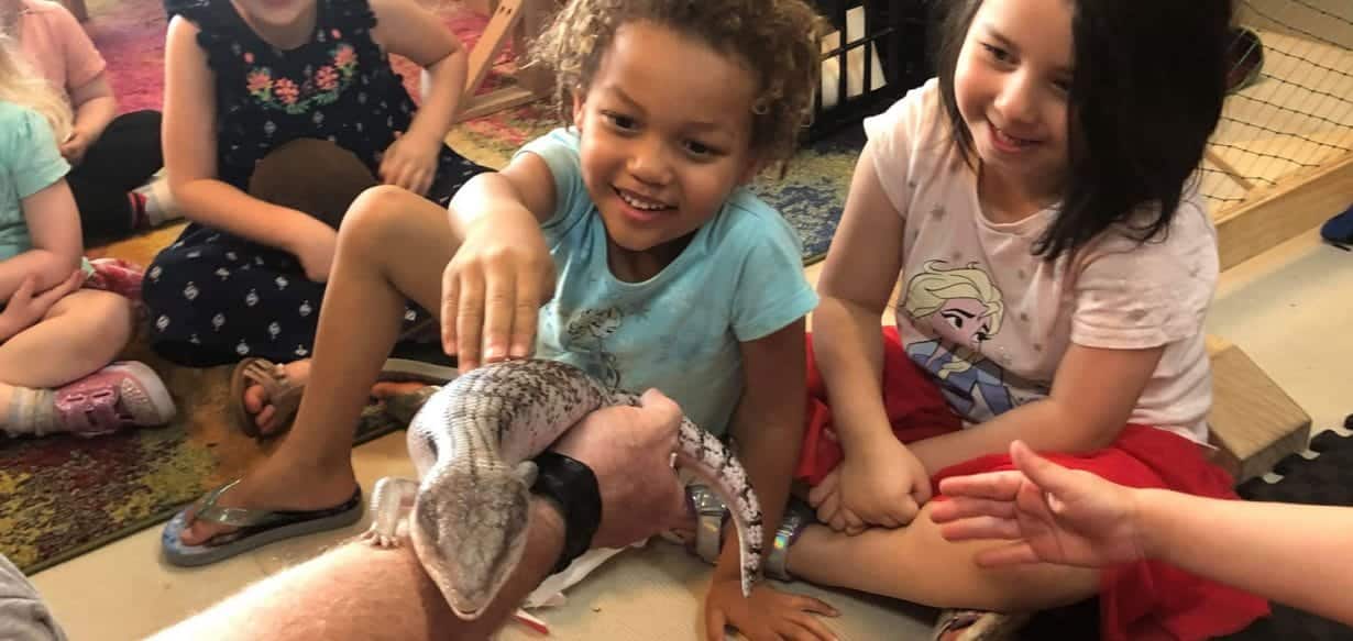 Guardian Gungahlin children patting a lizard from Canberra Reptile Zoo