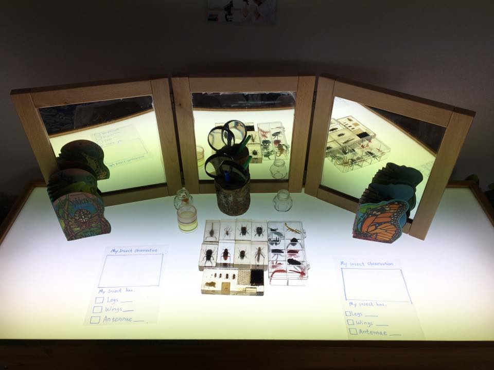 entomologist lab in zoo-themed sociodramatic play space