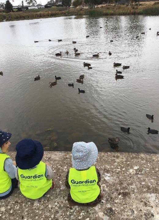 Children from Guardian St Clair wearing hats and safety vests and watching ducks in pond