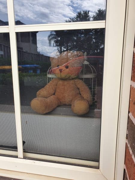 bear in window for neighbourhood bear hunt