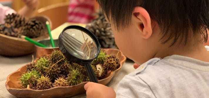 child looking at natural loose parts in magnifying glass
