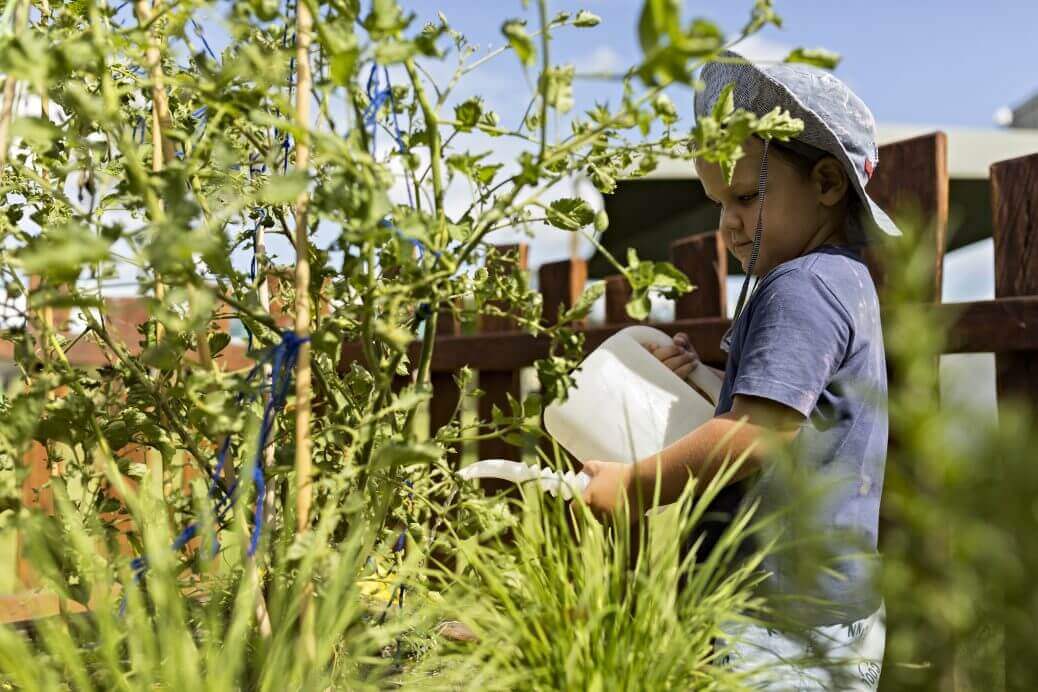 gardening at guardian