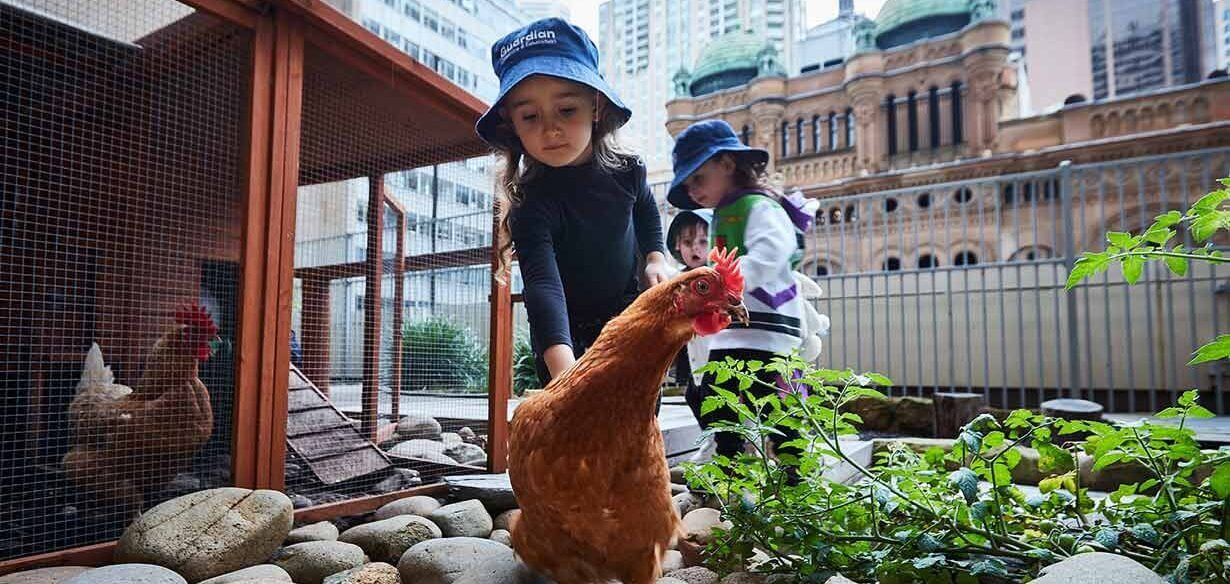 Children interacting with chickens at Guardian Market Street Queens view