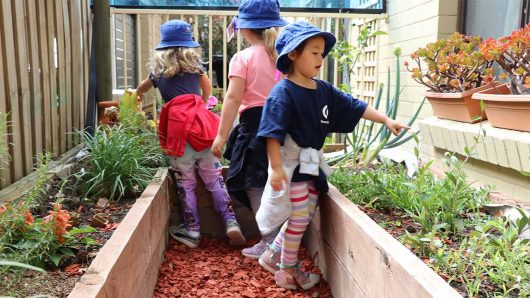 Children interacting with veggie gardens at Maroubra West